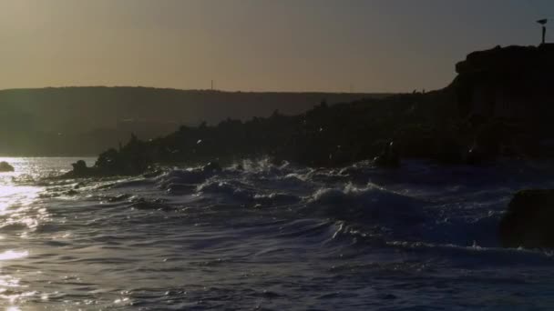 Вид Воздуха Остров Заливе Моссель Меховыми Тюленями Закате Южная Африка — стоковое видео