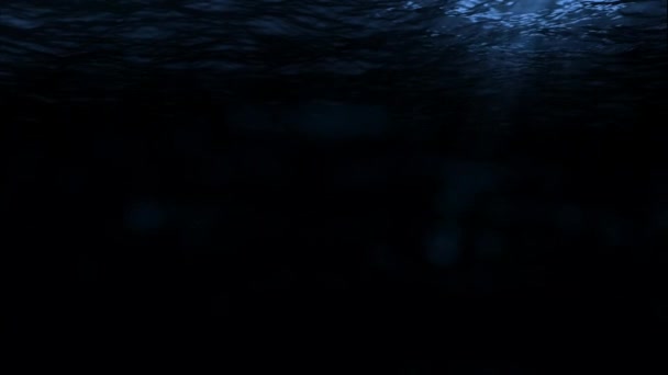 Podvodní Pohled Klidné Moře Noci Velký Bariérový Útes Austrálie — Stock video