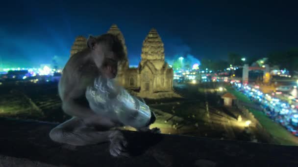 Närbild Långsvansad Makak Med Plastflaska Sittande Nära Forntida Tempel Lopburi — Stockvideo