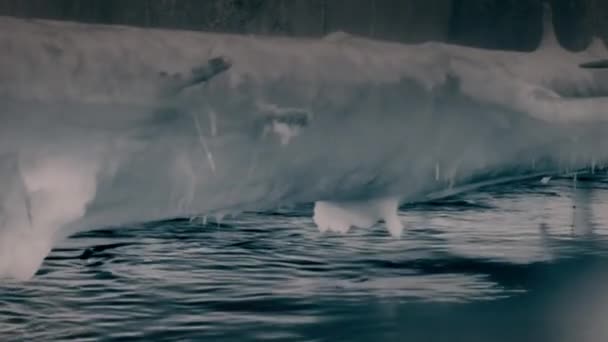 Die Hitzesignatur Der Landschaft Vor Der Küste Alaskas Wärmebildkamera Aufnahmen — Stockvideo