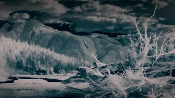 Signature Thermique Paysage Large Des Côtes Alaska Images Caméra Imagerie — Video