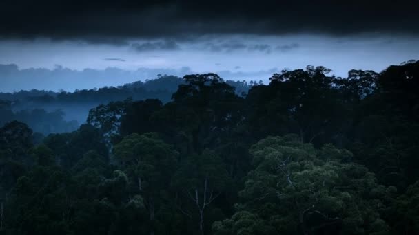 Вид Повітря Ліс Національний Парк Хао Всесвітня Спадщина Таїланд — стокове відео