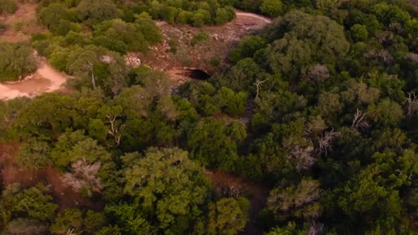 Primer Plano Cueva Austin Texas — Vídeo de stock
