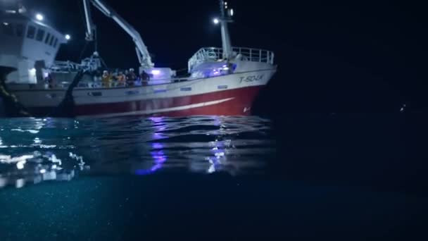 在挪威的峡湾 挪威海中 Orcinus Orca 在拖网渔船旁边游动 — 图库视频影像