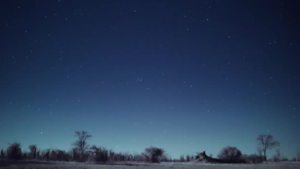 Cielo Nocturno Con Estrellas Parque Nacional Hwange Zimbabue Imágenes Cámara — Vídeo de stock