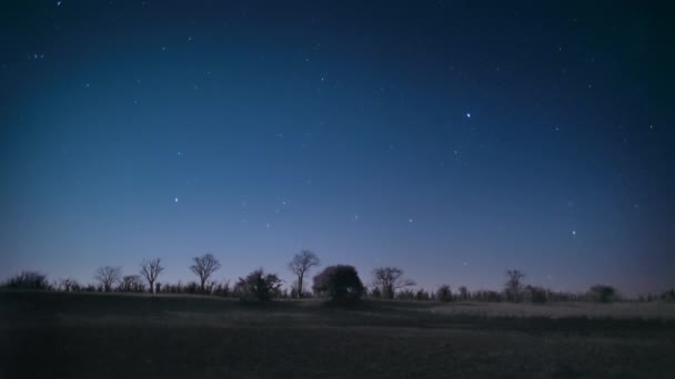Night Sky Stars Hwange National Park Zimbabwe Low Light Camera — Stock Video