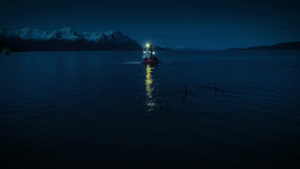 Nave Traino Notte Nel Mare Norvegese Fiordi Norvegia — Video Stock