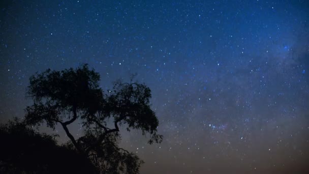 Timelapse Night Sky Stars Hwange National Park Zimbabwe Low Light — Stock Video