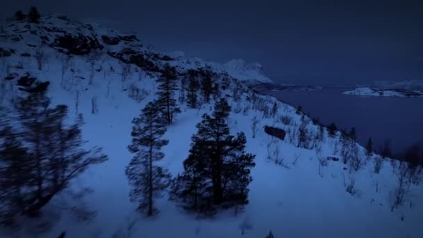 Vue Aérienne Littoral Norvégien Dans Les Fjords Norvège — Video