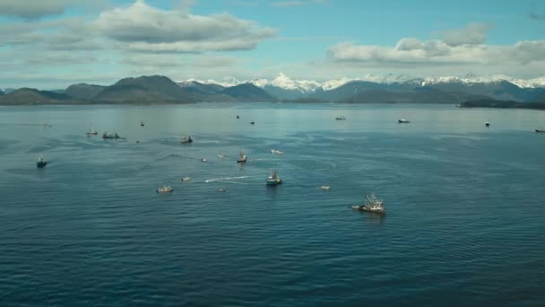 Barco Arrastreros Encontrando Los Arenques Del Pacífico Norte Alaska — Vídeo de stock