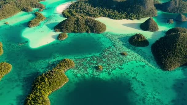 Luchtfoto Van Eilanden Raja Ampat Nieuw Guinea Indonesië — Stockvideo
