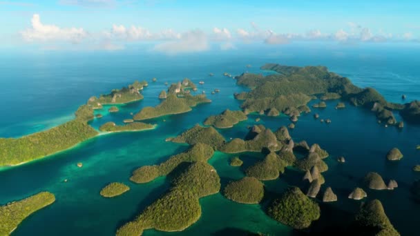 印度尼西亚 新几内亚 拉亚安帕塔岛的空中景观 — 图库视频影像