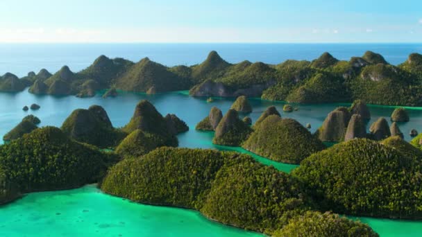 印度尼西亚 新几内亚 拉亚安帕塔岛的空中景观 — 图库视频影像