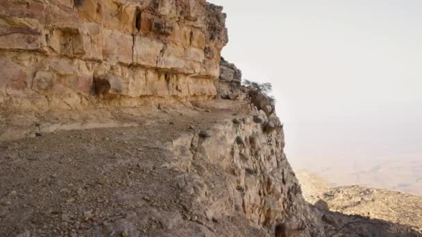 Primer Plano Ibexes Capra Nubiana Cruzan Los Acantilados Verticales Cercanos — Vídeo de stock