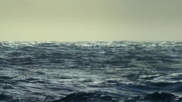 Movimento Lento Delle Onde Sull Oceano Meridionale — Video Stock