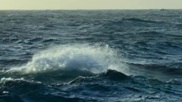 Медленное Движение Волн Южному Океану — стоковое видео