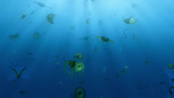 浮游植物是微小的飘浮植物 它将海水中的营养物质与来自太阳的能量结合在一起 3D动画 — 图库视频影像