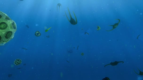 Fitoplanktonlar Mikroskobik Sürüklenen Bitkiler Deniz Suyundaki Besinleri Güneşten Gelen Enerjiyle — Stok video