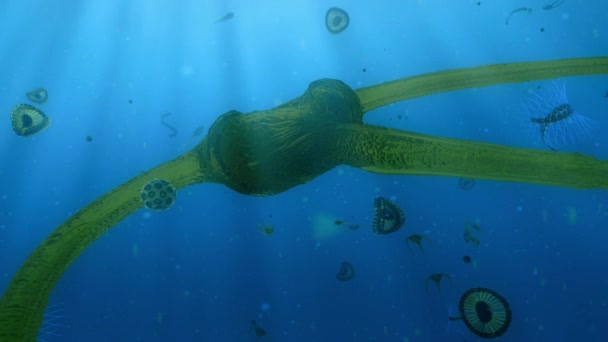 Phytoplankton Microscopic Drifting Plants Combine Nutrients Seawater Energy Sun Animation — Stock Video