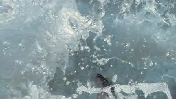 Zeitlupe Des Pazifischen Lachses Oncorhynchus Gorbuscha Springt Wasserfälle Hinauf Ihre — Stockvideo