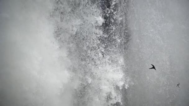 Langzame Beweging Van Iguazu Watervallen Grootste Watervallen Aarde Grens Tussen — Stockvideo