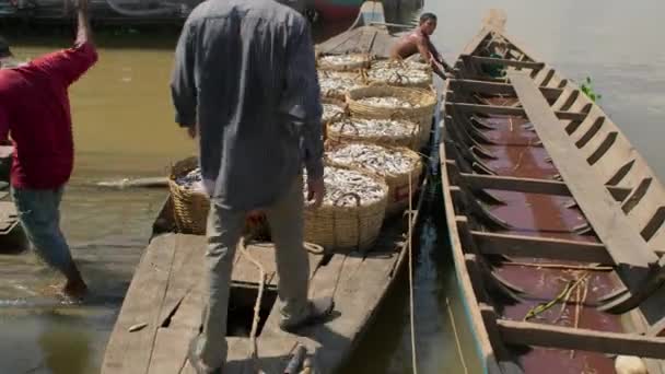 2018年4月 カンボジアのトンルサップ湖で 川の半分を渡って網を収穫し セットしました — ストック動画