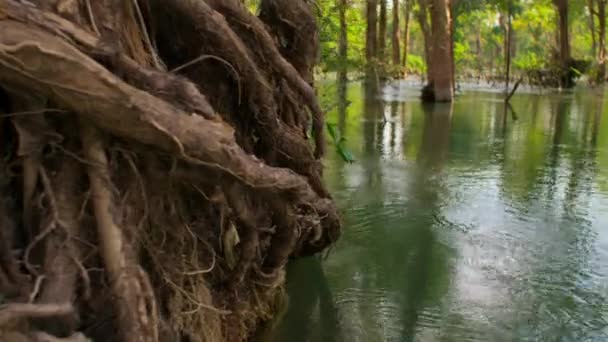 Widok Lotu Ptaka Rzekę Mekong Kiedy Deszcze Monsunowe Tworzą Tak — Wideo stockowe