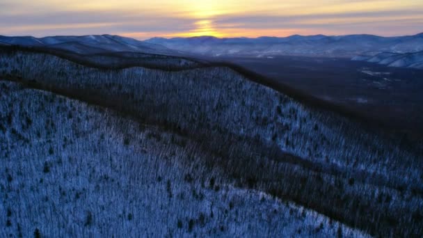 Εναέρια Τοπίο Του Νότιου Άκρου Του Αρκτικού Δάσους Ρωσία — Αρχείο Βίντεο