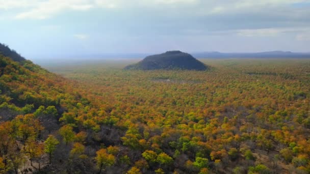 Batı Ghat Hindistan Daki Ormanın Hava Görüntüsü — Stok video