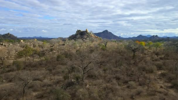 Paisaje Aéreo Del Miombo Bosque Más Grande África — Vídeo de stock