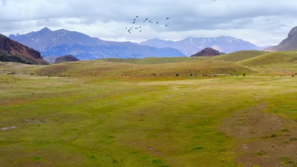 Paisaje Aéreo Largo Cordillera Andina Encuentra Parque Nacional Patagonia — Vídeo de stock