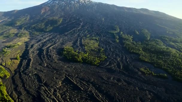 北缘陆地上有熔岩流的火山位于智利的自然保护区 Conguillio国家公园 — 图库视频影像
