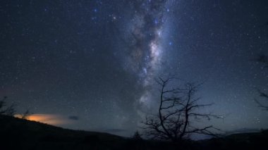 Samanyolu 'nun yıldızları, Valdivian ılıman ormanları ve Şili' nin yıldızlarıyla açık bir gecede rezervlerin üzerindeki göksel görüntülerin zamanı..