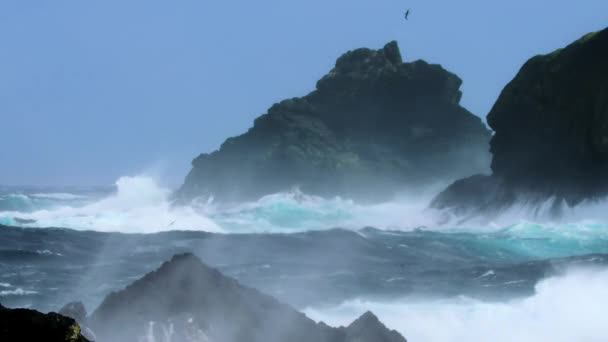 Pohled Brutální Jižní Oceán Subantarktické Ostrovy Diego Ramirez Chráněné Mořské — Stock video