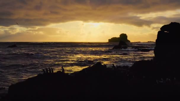 Άποψη Του Βάναυσου Νότιου Ωκεανού Υποανταρκτικά Νησιά Ντιέγκο Ραμίρεζ Θαλάσσιες — Αρχείο Βίντεο