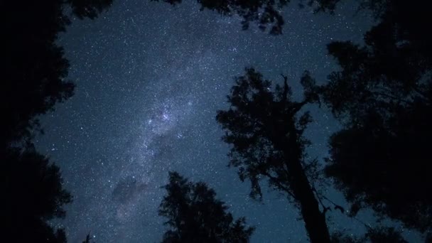 Хронология Небесных Видов Над Заповедниками Ясную Ночь Звездами Млечного Пути — стоковое видео