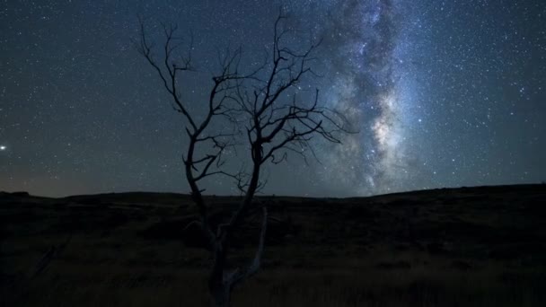 Zeitraffer Der Himmelsansichten Über Den Reservaten Der Klaren Nacht Mit — Stockvideo