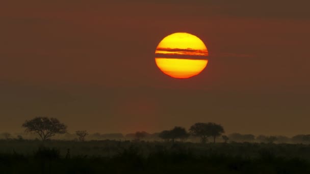 Landschaftsaufnahme Des Tsavo Nationalparks Mit Sonnenuntergang Kenia — Stockvideo