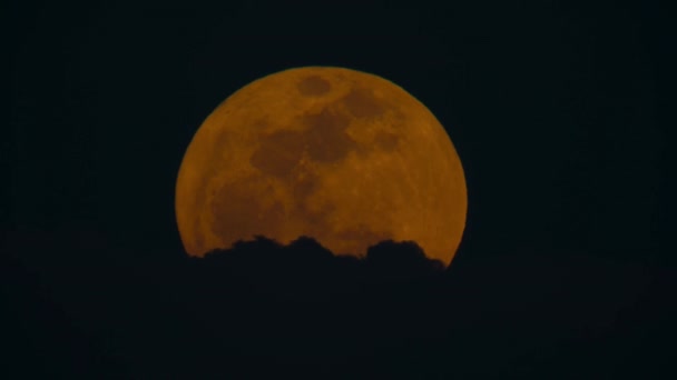Хронология Восхода Луны Ночью Национальном Парке Цаво Кения — стоковое видео