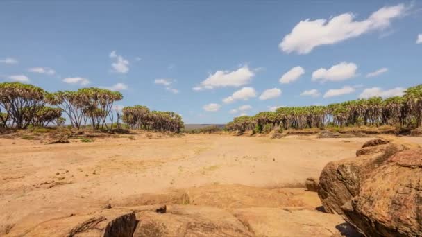 Vista Panorámica Del Río Tiva Secado Parque Nacional Tsavo Kenia — Vídeos de Stock