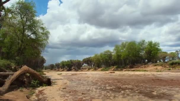 Vista Rio Tiva Que Secou Torna Fluxos Novamente Parque Nacional — Vídeo de Stock