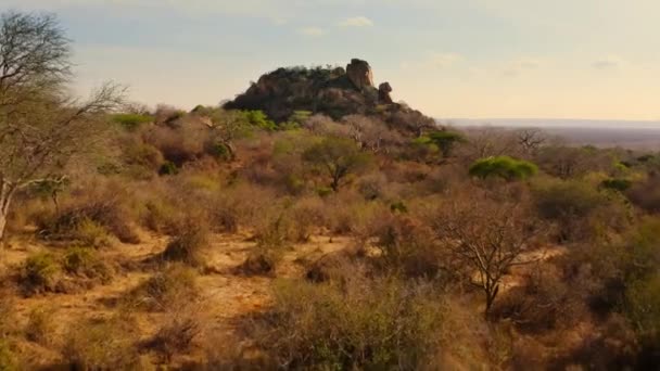 모놀리식의 Tsavo 공원에서 수백만 — 비디오