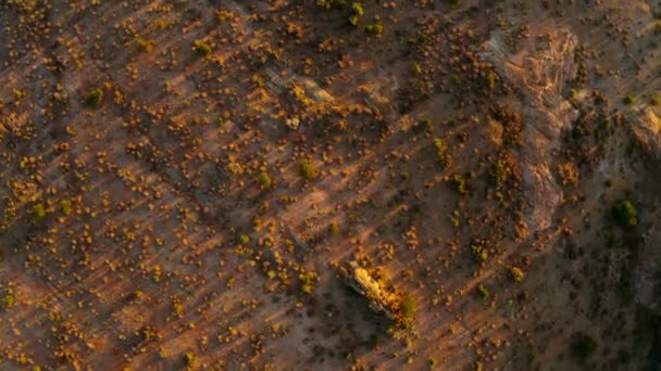 Aerial Landscape View Tsavo National Park Kenya — Stock Video