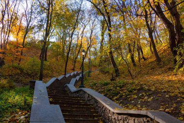 Sonbahar şehir parkındaki merdivenler, sarı-kırmızı ağaç yaprakları, sonbahar renkleri, doğa ve huzur. Yüksek kalite fotoğraf