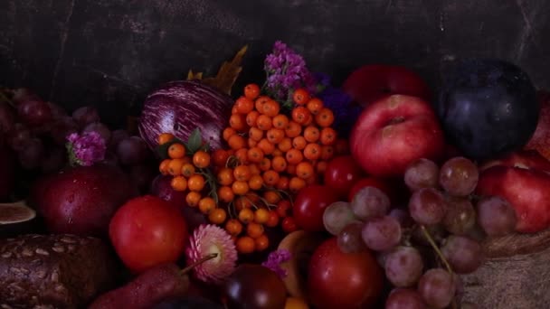 Sonbahar Hasadı Meyveleri Çiçekler Siyah Arka Planda Yaban Mersinleri Hasat — Stok video