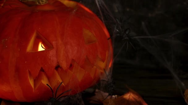 Duman Içinde Cadılar Bayramı Süslemeleri Balkabağı Örümcekler Balkabağından Jack Feneri — Stok video