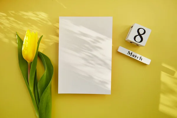 Feminine post card mock up with shadows, chocolate hearts, text 8 of March with yellow tulip. Women\'s Day, happy birthday, anniversary concept. Beauty mockup postcard concept. Copy space.