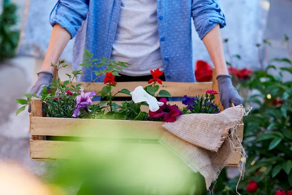 Woman gardener holds wooden box with flowers pots. Home gardening. Small business, casual clothing, flower shop, flowerpot, freelancer, gardening. Cottage core botany aesthetic.