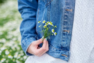 Yaz mevsiminde papatya tarlasında şehvetli genç bir kadın. Şehvetli genç bir kadın dinleniyor. Doğaya dikkatsizce bağlanmak.