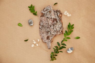  Doğal ağaç kabuğu, yeşil yapraklar, çakıl taşları. Sürdürülebilir, çevre dostu yaşam tarzı